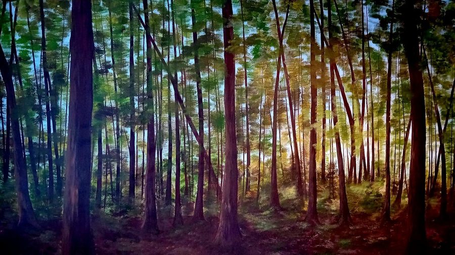 The Forest Wall